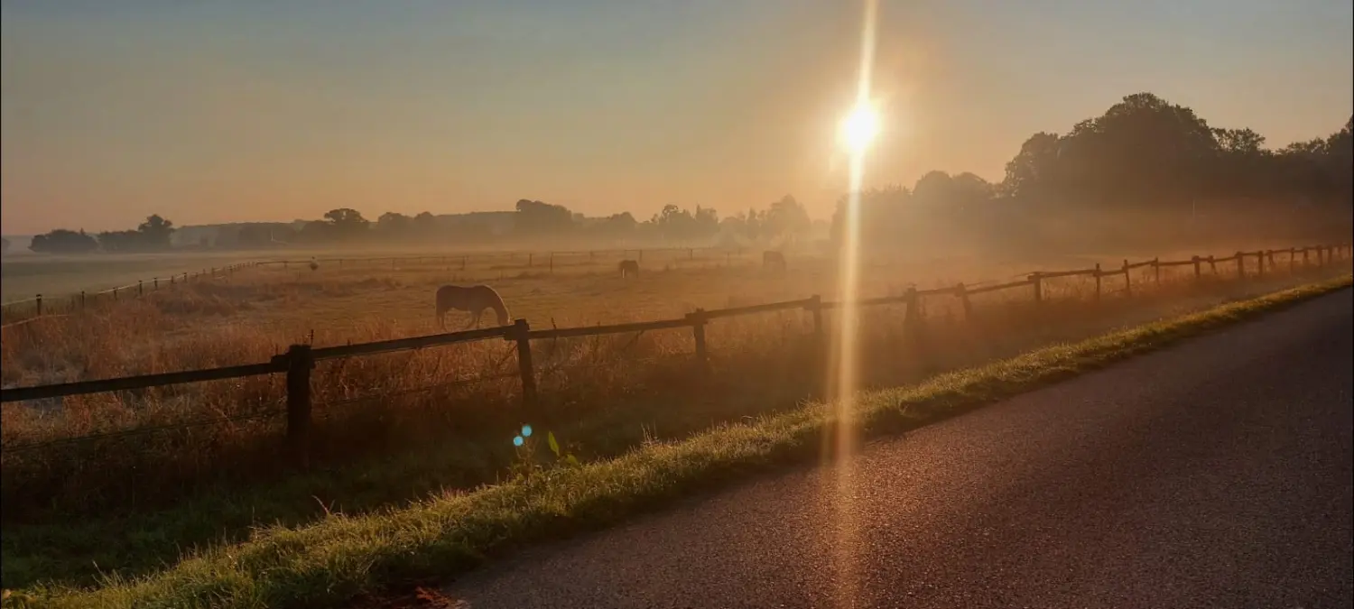 Pferdefeld von Kim Döbbelin